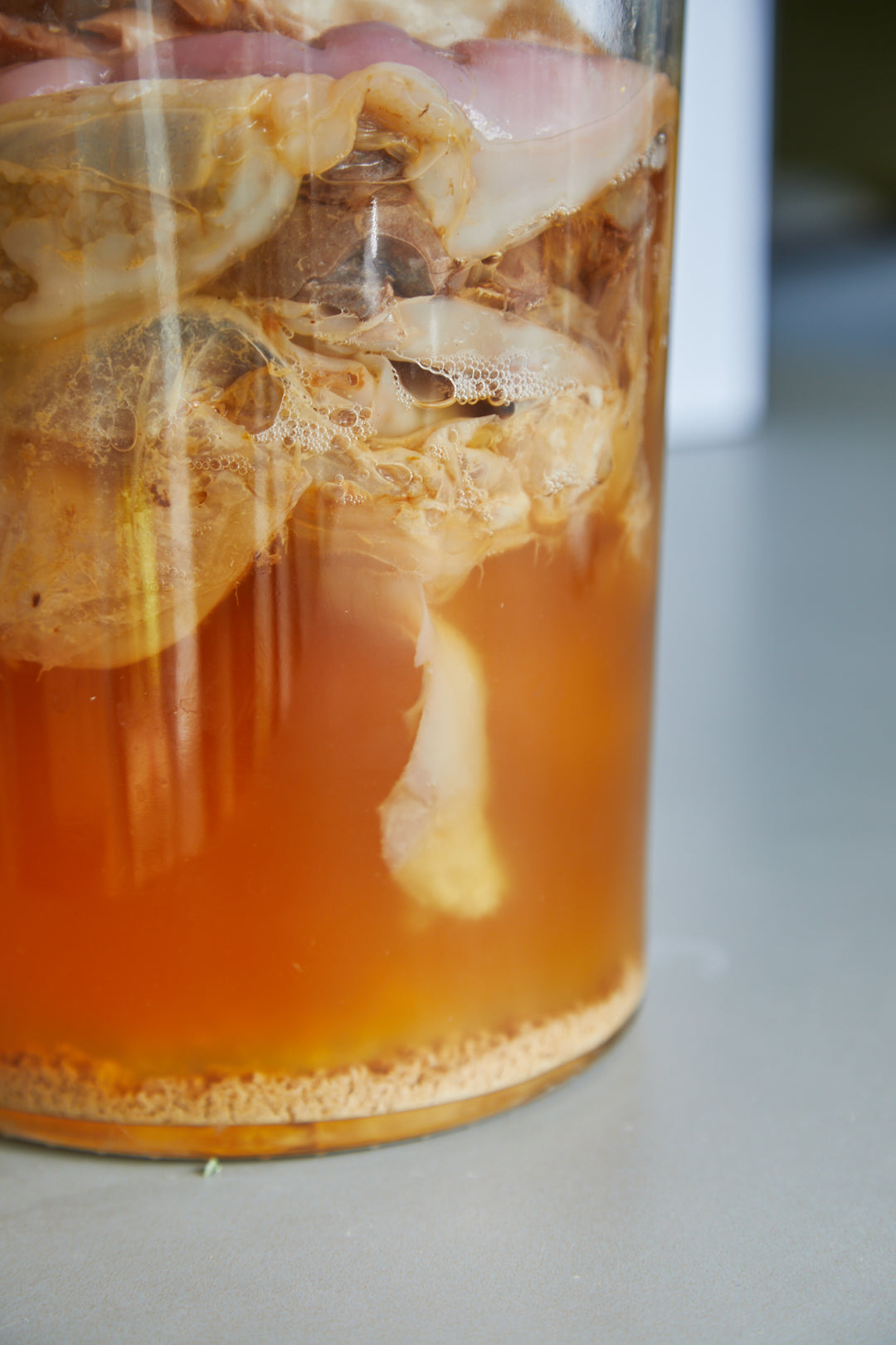 How Is Kombucha Made? The Fermentation Process | Vesna