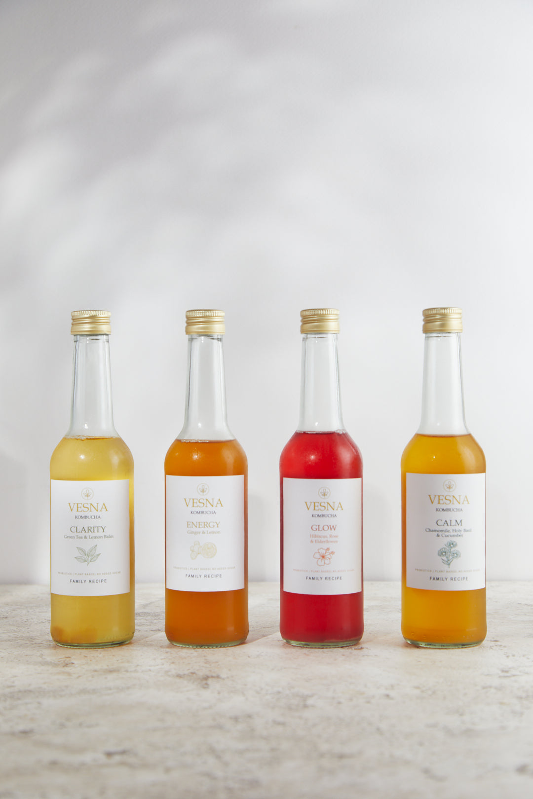 Kombucha Discovery Pack — Try All 4 Flavours | Vesna UK – Vesna
