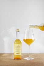 Solara limited edition sea buckthorn kombucha bottle with orange peel, chamomile and cardamom.