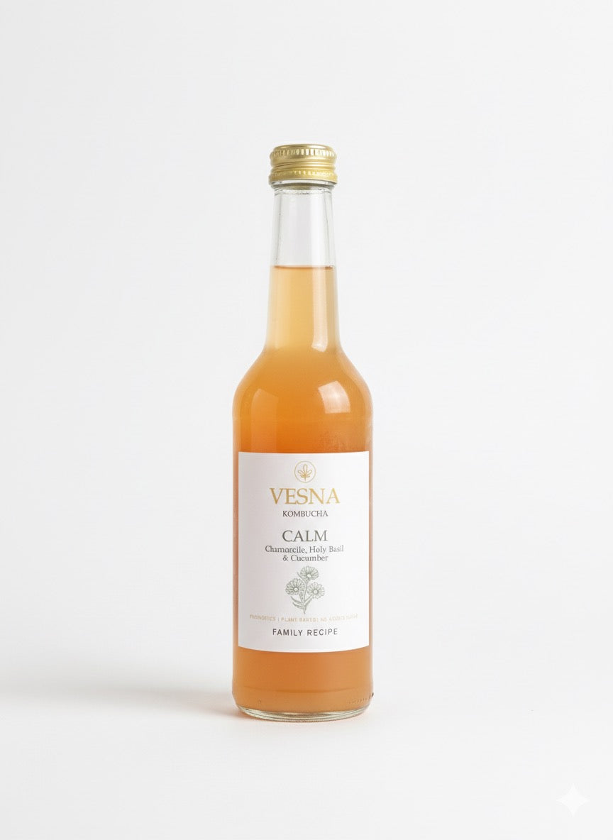 Discovery Pack – Mixed Case of Vesna Kombucha (4 Bottles)