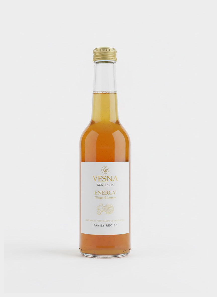 Discovery Pack – Mixed Case of Vesna Kombucha (4 Bottles)